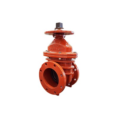 GATE VALVE 6 PIV FxF