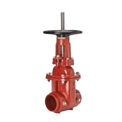 GATE VALVE 10 OSY GRV X GRV